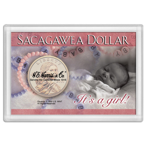 Sacagewea "It's A Girl!" Frosty Case 2x3