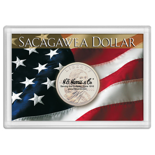 Sacagewea Flag Frosty Case 2x3