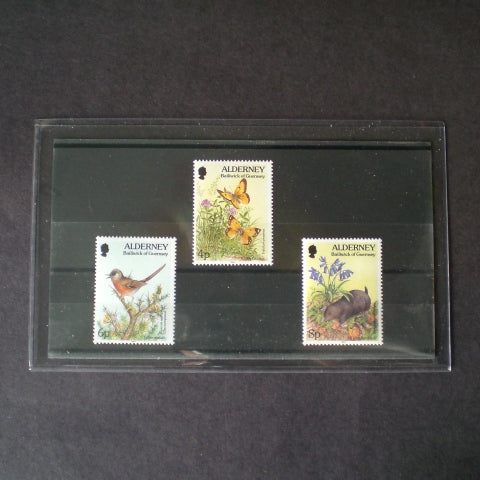 Supersafe Approval Card Sleeve PP300