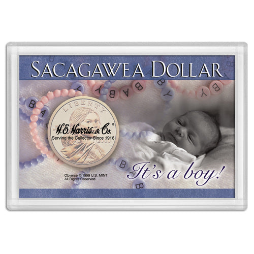Sacagewea "It's A Boy!" Frosty Case 2x3