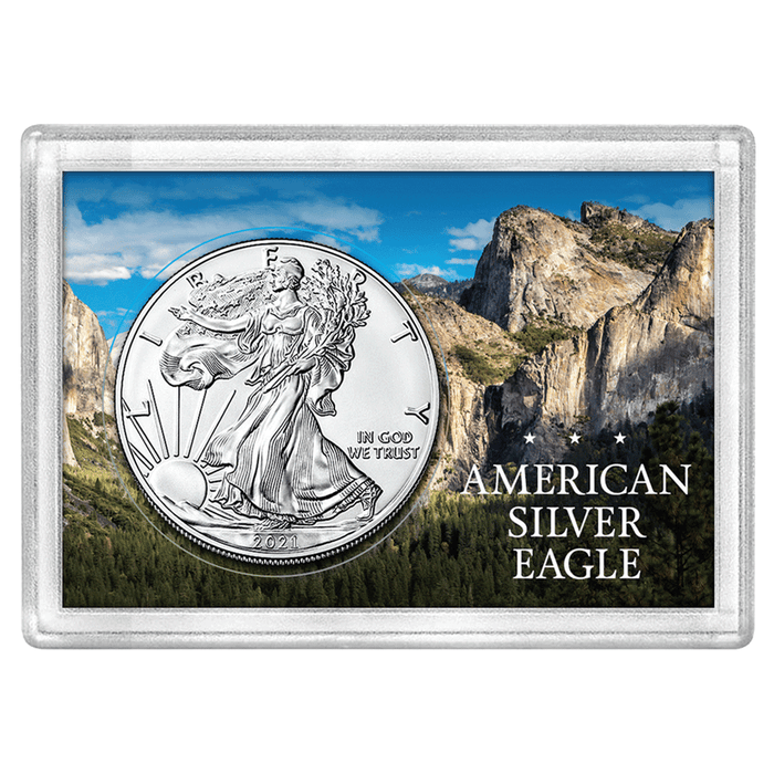 9237 American Silver Eagle 2x3 Frosty Case, Mountain Forest