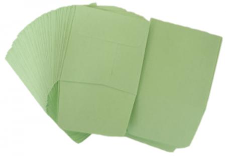 SAFE-T Green Box of 500 2x2 Coin Envelope