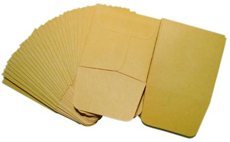 SAFE-T Kraft Box of 500 2x2 Coin Envelope
